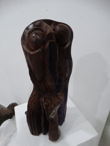 Скульптура под названием "O mocho" - Nino Trindade Nilton Piores Da Trindade, Подлинное произведение искусства, Дерево