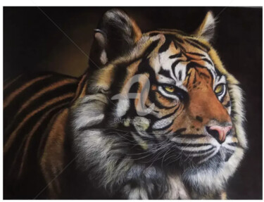 "Tigre" başlıklı Resim Ninon Cobergh tarafından, Orijinal sanat, Pastel