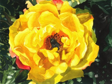 Painting titled "WONDERFUL ROSE" by Nives Palmić, Original Artwork, Watercolor