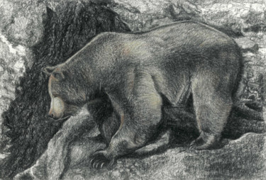 图画 标题为“BROWN BEAR (based o…” 由Nives Palmić, 原创艺术品, 木炭