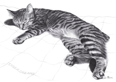Drawing titled "TIGER DREAM" by Nives Palmić, Original Artwork, Graphite