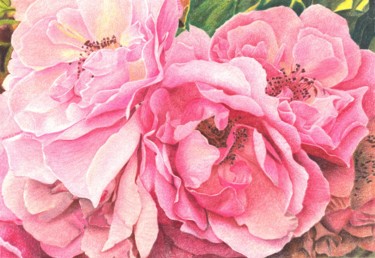 Dessin intitulée "ROSES ROSES" par Nives Palmić, Œuvre d'art originale, Pastel