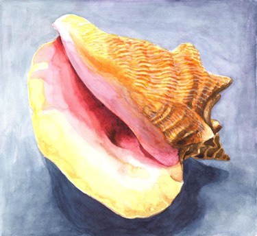 Painting titled "SHELL" by Nives Palmić, Original Artwork, Watercolor