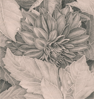 Dessin intitulée "RHYTHM OF NATURE (S…" par Nives Palmić, Œuvre d'art originale, Graphite