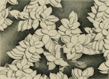 Drawing titled "FOLIAGE" by Nives Palmić, Original Artwork, Graphite