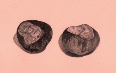 Drawing titled "CHESTNUTS" by Nives Palmić, Original Artwork, Graphite