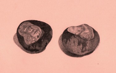 Dessin intitulée "CHESTNUTS" par Nives Palmić, Œuvre d'art originale, Graphite