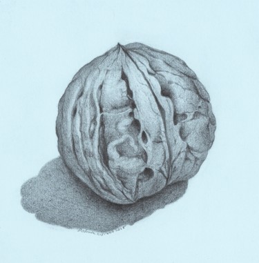 Drawing titled "WALNUT" by Nives Palmić, Original Artwork, Graphite