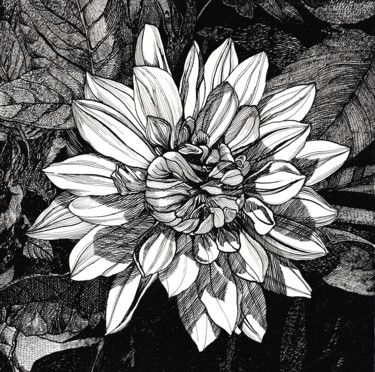 Dessin intitulée "SHINY DAHLIA" par Nives Palmić, Œuvre d'art originale, Encre