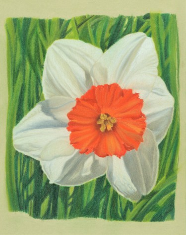 Tekening getiteld "SPRING SUNSHINE (Da…" door Nives Palmić, Origineel Kunstwerk, Pastel