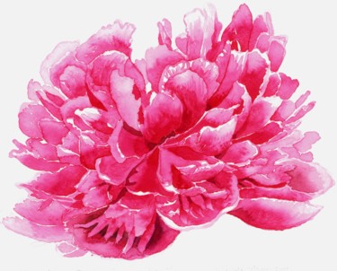 Painting titled "PEONY" by Nives Palmić, Original Artwork, Watercolor