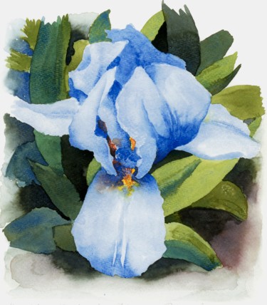 Painting titled "BLUE IRIS" by Nives Palmić, Original Artwork, Watercolor