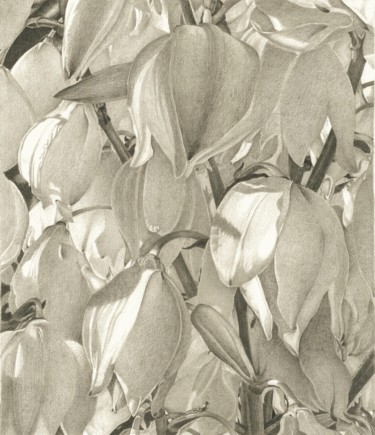 Drawing titled "BLOSSOM" by Nives Palmić, Original Artwork, Graphite