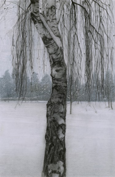 Dibujo titulada "BIRCH IN THE SNOW" por Nives Palmić, Obra de arte original, Carbón