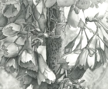 Drawing titled "ROSACEAE" by Nives Palmić, Original Artwork, Graphite