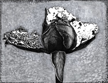 Drawing titled "FROZEN ROSE" by Nives Palmić, Original Artwork, Ink