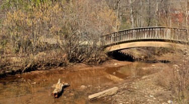Фотография под названием "мост через ручей" - Nlabuz, Подлинное произведение искусства, Другой