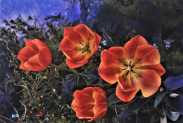 Digital Arts titled "magic-flowers" by W-Dagrou, Original Artwork, Digital Painting
