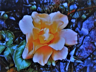 Arts numériques intitulée "my-little-rose" par W-Dagrou, Œuvre d'art originale