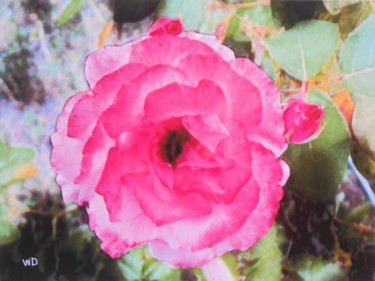 Arts numériques intitulée "sunny-rose" par W-Dagrou, Œuvre d'art originale, Peinture numérique