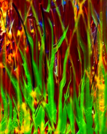 Digital Arts titled "vegetal" by W-Dagrou, Original Artwork, Digital Painting