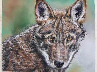 Painting titled "the stare" by Nadia Sheikh, Original Artwork, Pastel