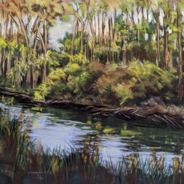 Painting titled "Scenes from my walk" by Nadia Sheikh, Original Artwork, Pastel