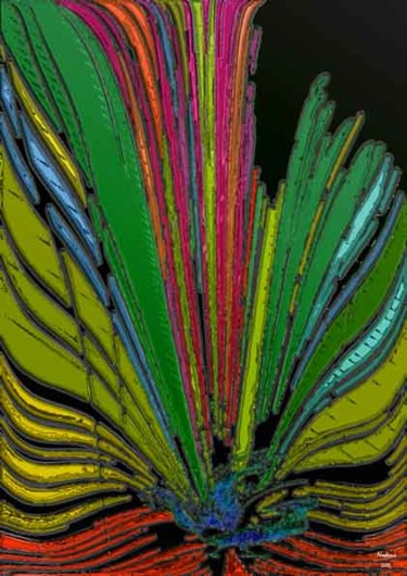 Arts numériques intitulée "L'oiseau lyre" par Nodens, Œuvre d'art originale