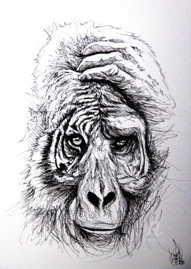 Tekening getiteld "Tiger Gorilla" door Art De Noé, Origineel Kunstwerk, Inkt