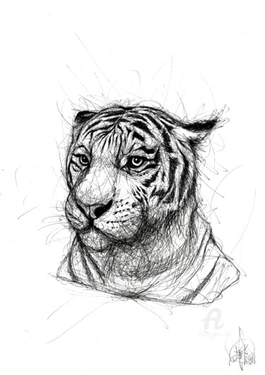 Drawing titled "Tiger lines" by Art De Noé, Original Artwork, Ink