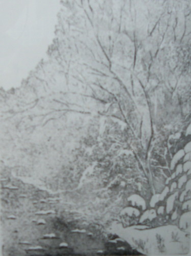 Gravures & estampes intitulée "neige" par Noël Barbot, Œuvre d'art originale, Gravure