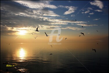 Fotografia intitolato "tramont-gabbys-2.jpg" da Noelle9, Opera d'arte originale