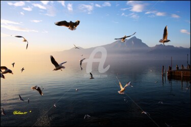 Fotografia intitolato "gabbiani-torri-2.jpg" da Noelle9, Opera d'arte originale