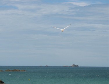 Photographie intitulée "Mouette 2" par Noëlle Harault, Œuvre d'art originale