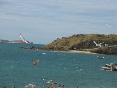 Photographie intitulée "Mouette 4" par Noëlle Harault, Œuvre d'art originale