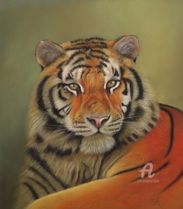 Dibujo titulada "Tigre" por Tatiana Le Metayer, Obra de arte original, Pastel
