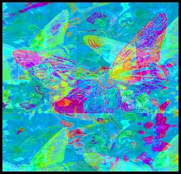 Photographie intitulée "Papillons superposé…" par Nor-Eddine Zerouali, Œuvre d'art originale, Photographie manipulée