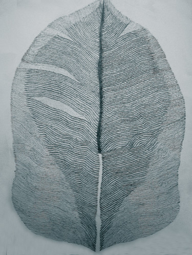 Drawing titled "Feather" by Norachai, Original Artwork, Pencil