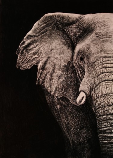 Рисунок под названием "elephant" - Victor Novikov, Подлинное произведение искусства, Графит