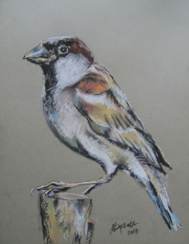 Ζωγραφική με τίτλο "sparrow" από Maksym Syrota, Αυθεντικά έργα τέχνης, Παστέλ