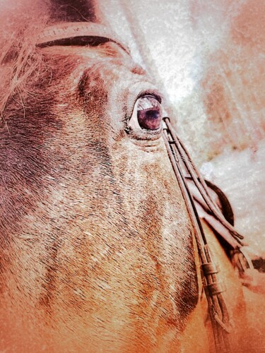 Photography titled "Horse in the forest" by Maksym Syrota, Original Artwork, Manipulated Photography