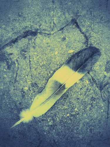 Photography titled "Feather" by Maksym Syrota, Original Artwork, Manipulated Photography