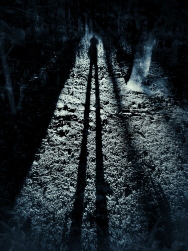 Photography titled "Shadow in the park" by Maksym Syrota, Original Artwork, Digital Photography