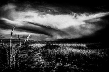 Fotografía titulada "white grey sky VI" por Walkingsea, Obra de arte original