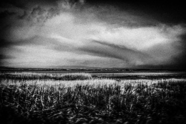 Fotografía titulada "white grey sky VII" por Walkingsea, Obra de arte original