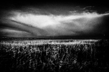 Fotografia intitulada "white grey sky VIII" por Walkingsea, Obras de arte originais