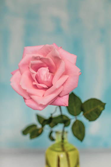 Photography titled ""Be Rose"" by Natalia Zavialova, Original Artwork, Digital Photography