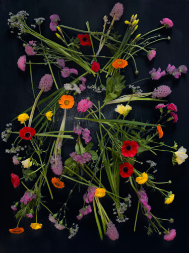 「"Carpet flowers ( F…」というタイトルの写真撮影 Natalia Zavialovaによって, オリジナルのアートワーク, デジタル
