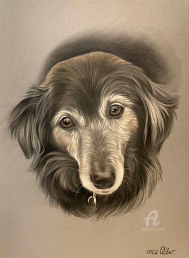 Pintura intitulada "Commission Dog Pain…" por Olga Tsvetkova, Obras de arte originais, Pastel