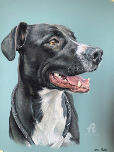 Desenho intitulada "Pastel dog portrait" por Olga Tsvetkova, Obras de arte originais, Pastel